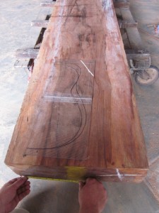 IMG_0084 Sacha Rosewood