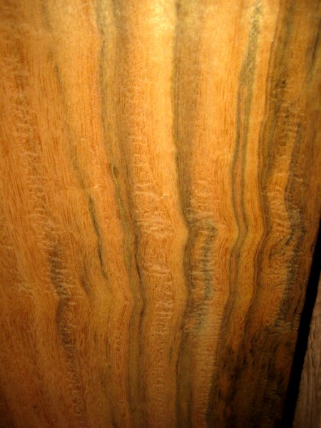 Black Moena, heavy curl.